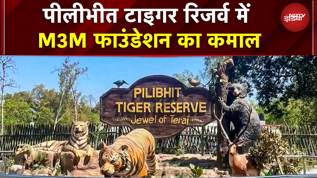 Pilibhit Tiger Reserve में M3M Foundation का कमाल! मानव-वन्यजीव संघर्ष कम करने की अनोखी पहल