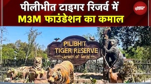 Pilibhit Tiger Reserve में M3M Foundation का कमाल! मानव-वन्यजीव संघर्ष कम करने की अनोखी पहल