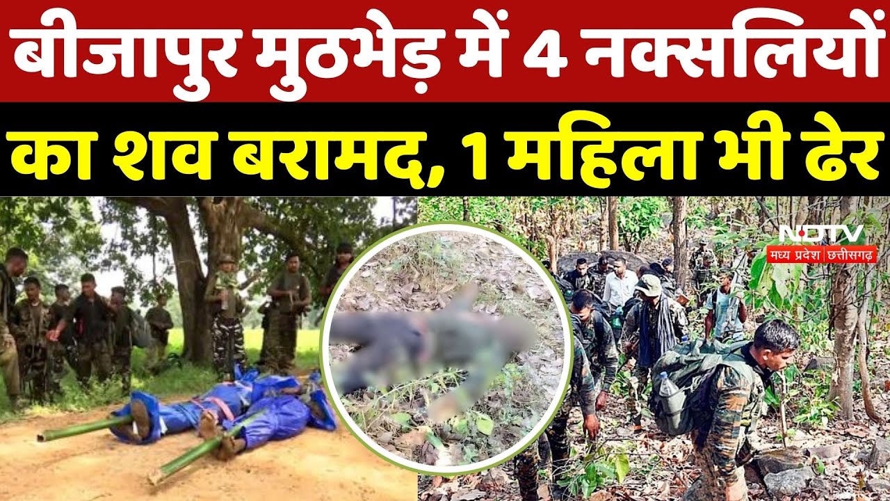 Bijapur Naxal Encounter: मुठभेड़ में 4 नक्सलियों का शव बरामद,1 महिला भी ढेर | Naxalites |Papa Rao |CG