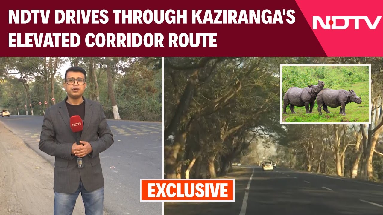 PM Modi News | A Drive Through Kaziranga: How The Elevated Corridor Will Be A Game-Changer