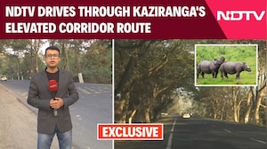 PM Modi News | A Drive Through Kaziranga: How The Elevated Corridor Will Be A Game-Changer
