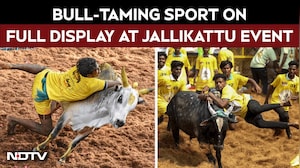 Bull-Taming Sport At Full Display During Jallikattu Event In Tamil Nadu