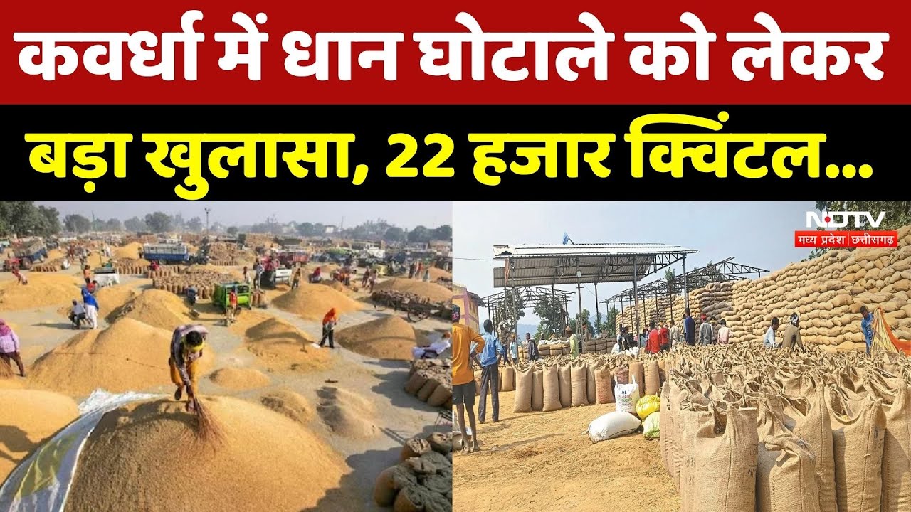 Dhan Kharidi in CG: Dhan Scam को लेकर बड़ा खुलासा! | Dhan Farmers | Rice | Bardana | Kawardha News