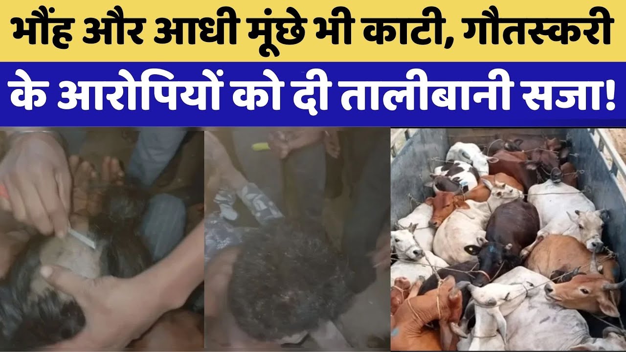 cow smuggling के आरोपियों को Taliban Punishment! | Crime News  Rajasthan Top News