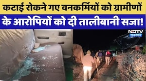 Alwer News: कटाई रोकने गए Forest Workers को ग्रामीणों ने पीटा | Rajasthan Top News  Crime News