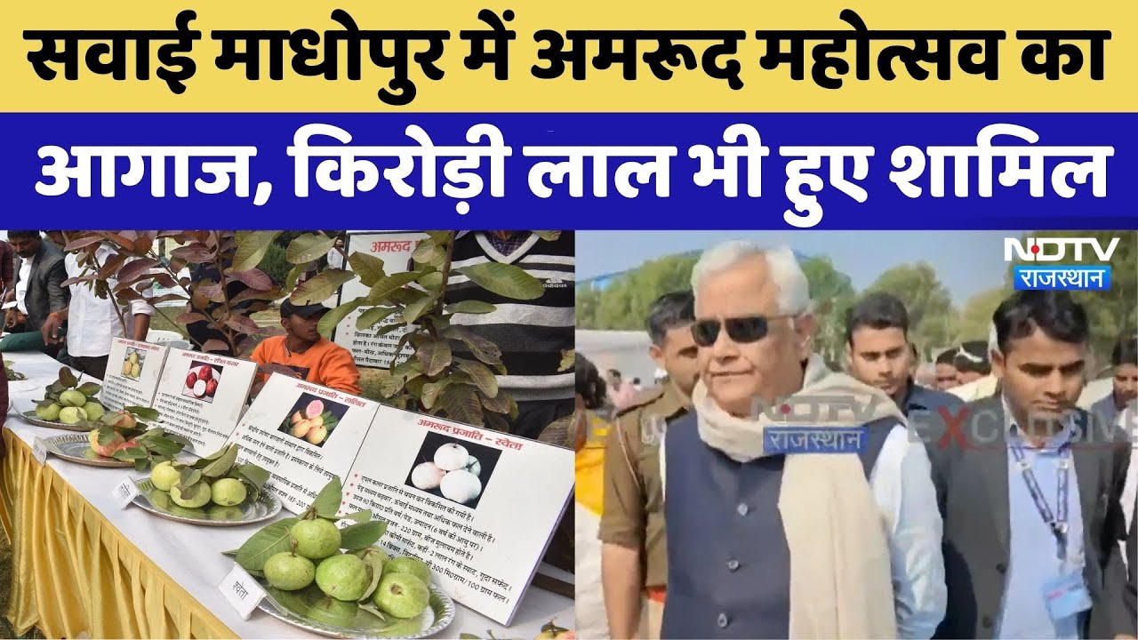 Sawai Madhopur News:सवाई माधोपुर में Guava Festival का आगाज | Rajasthan Top News | Viral Video