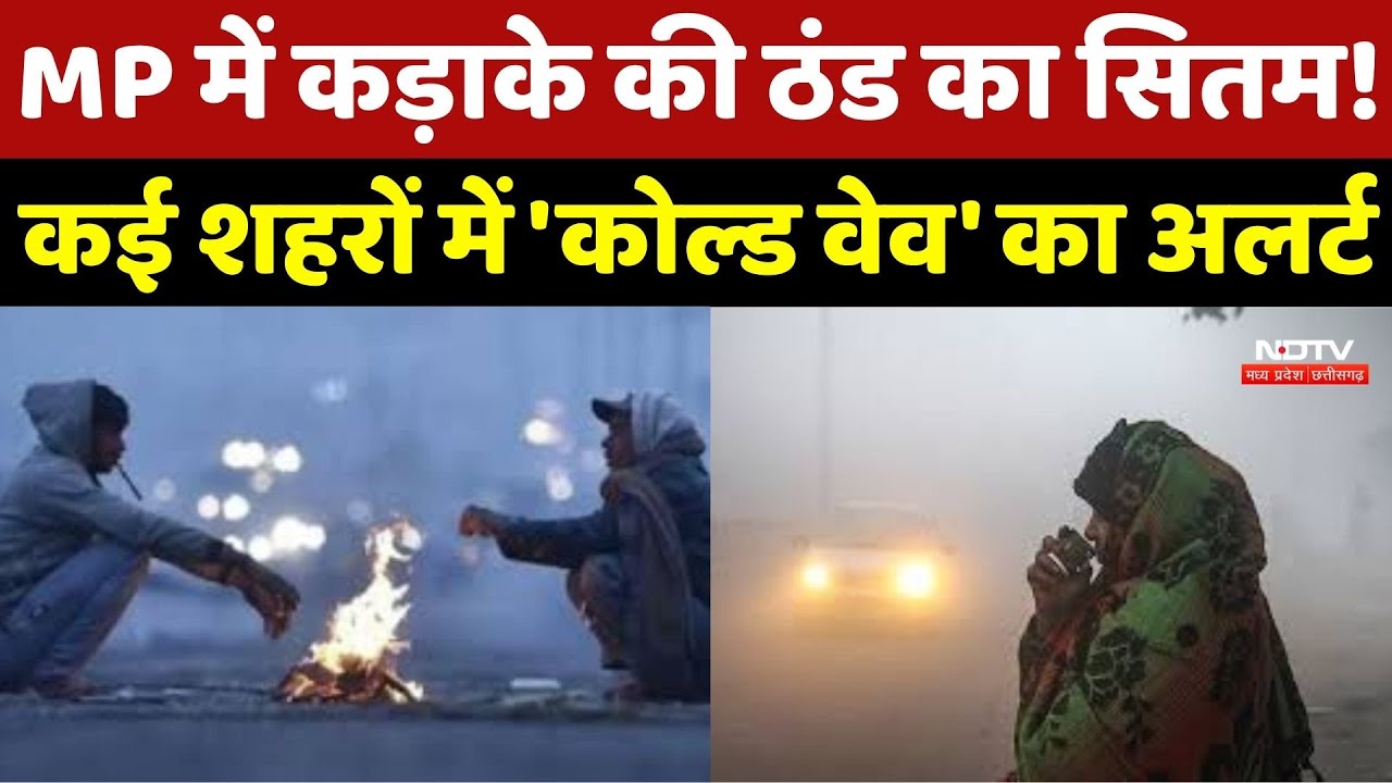MP Weather Update : Makar Sankranti के बाद भी राहत नहीं, मौसम विभाग ने जारी की बड़ी चेतावनी