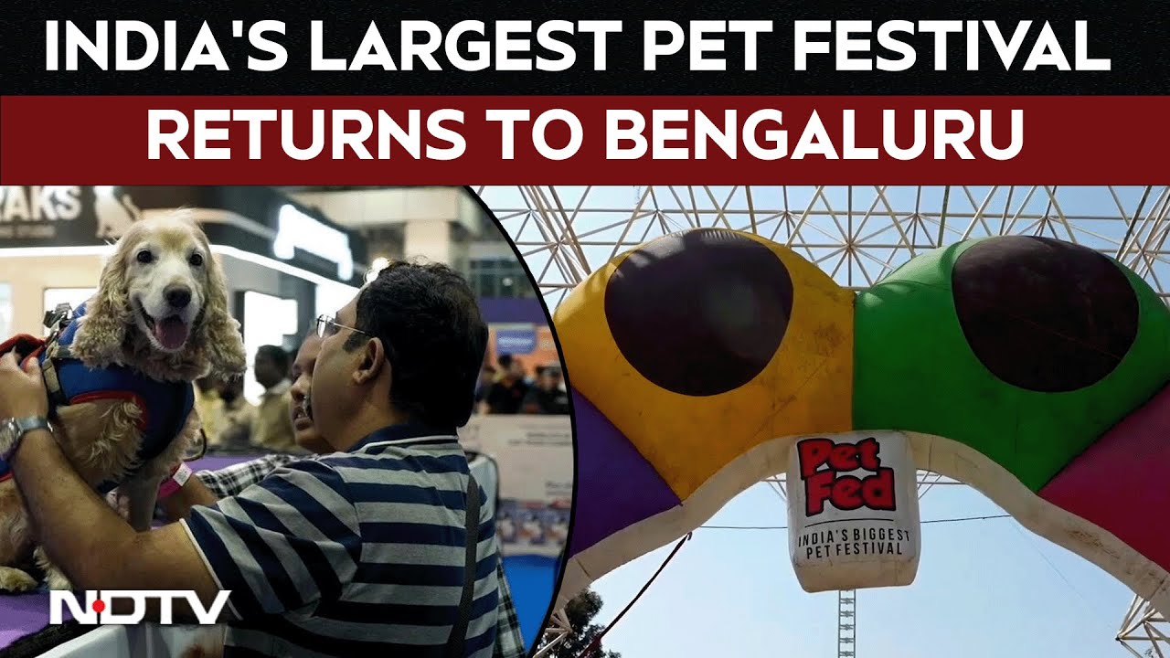 Pet Fed Festival | India's Biggest Pet Festival Draws Crowds Of Animal Lovers To Bengaluru