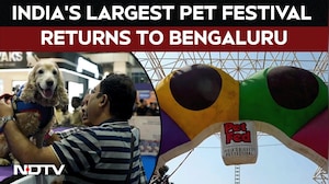 Pet Fed Festival | India's Biggest Pet Festival Draws Crowds Of Animal Lovers To Bengaluru