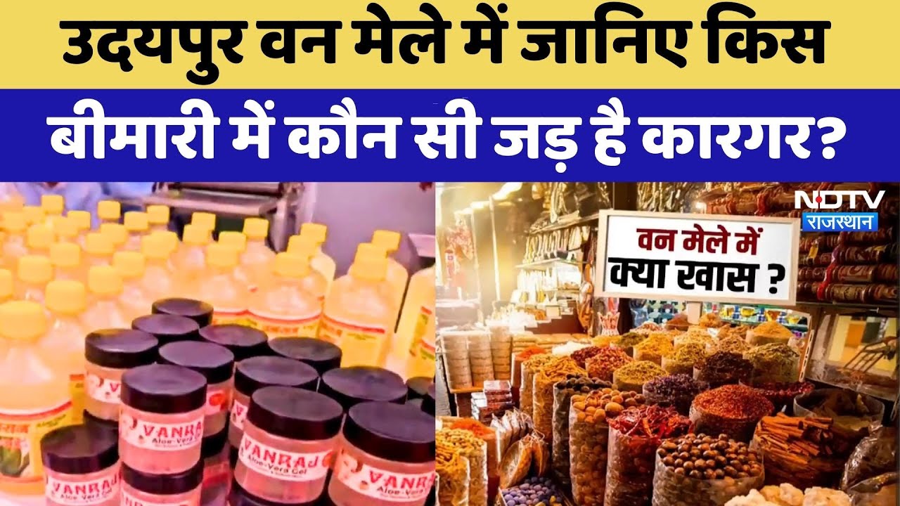 Udaipur Van Mela में जानिए किस बीमारी में कौन सी जड़ है कारगर? | Forest Fair | Rajasthan Tourism