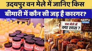 Udaipur Van Mela में जानिए किस बीमारी में कौन सी जड़ है कारगर? | Forest Fair | Rajasthan Tourism