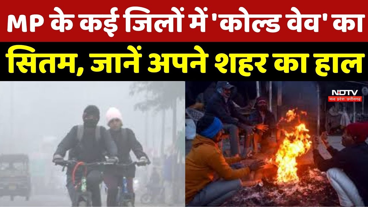 MP Weather : कई शहरों में Visibility हुई Zero, मौसम विभाग ने जारी किया Alert, जानें कब मिलेगी राहत ?