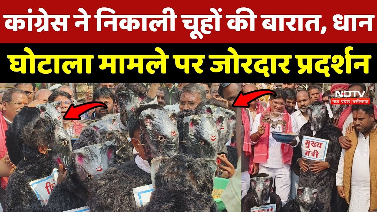 Durg Congress Protest: कांग्रेस ने निकाली चूहों की बारात, धान घोटाला मामले पर जोरदार प्रदर्शन
