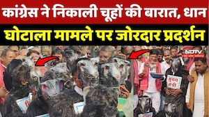 Durg Congress Protest: कांग्रेस ने निकाली चूहों की बारात, धान घोटाला मामले पर जोरदार प्रदर्शन