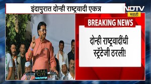 दोन्ही राष्ट्रवादींची स्ट्रॅटेजी ठरली, ZP आणि Panchayat Samiti निवडणुकीबाबत ठरलं! Election Updates