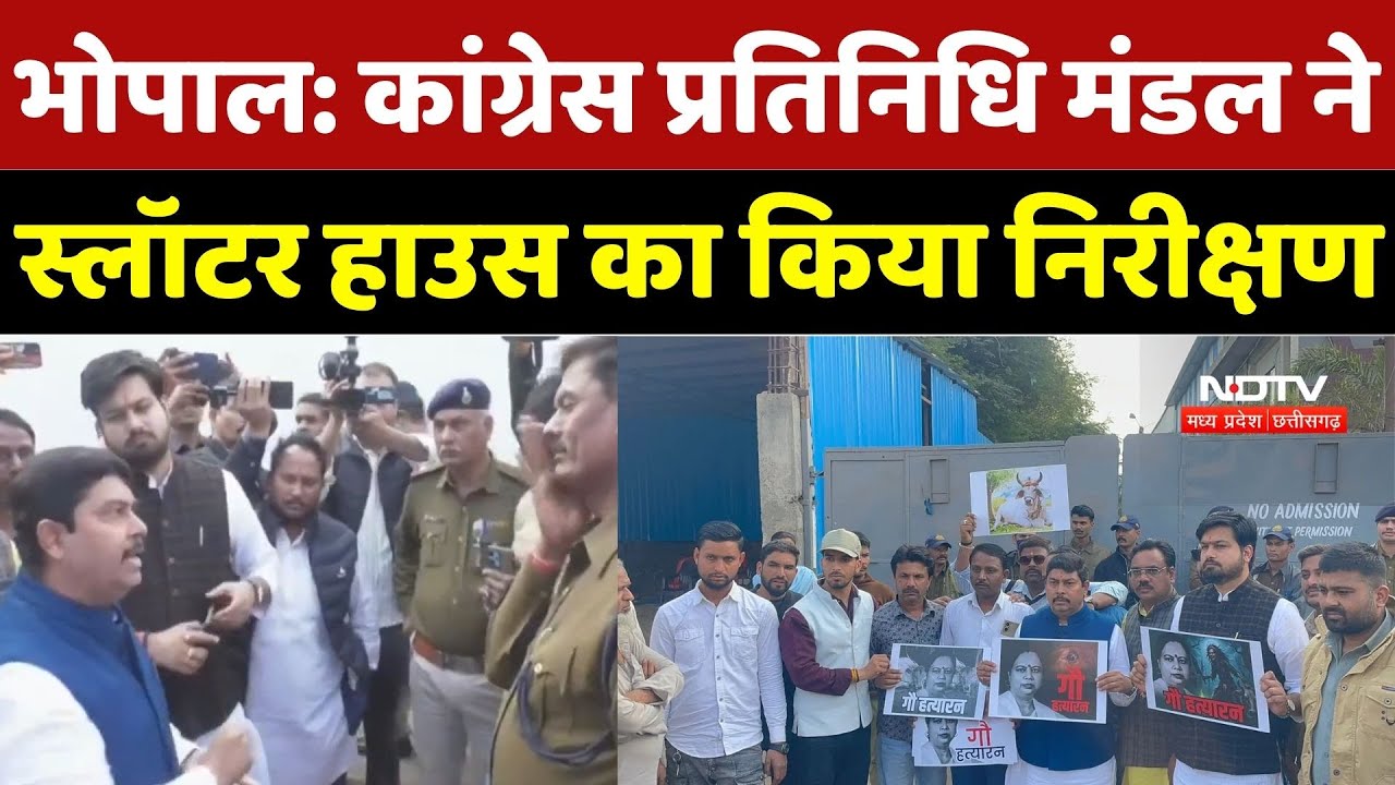 Bhopal Slaughter House Case: कांग्रेस प्रतिनिधि मंडल ने स्लॉटर हाउस का किया निरीक्षण | Congress