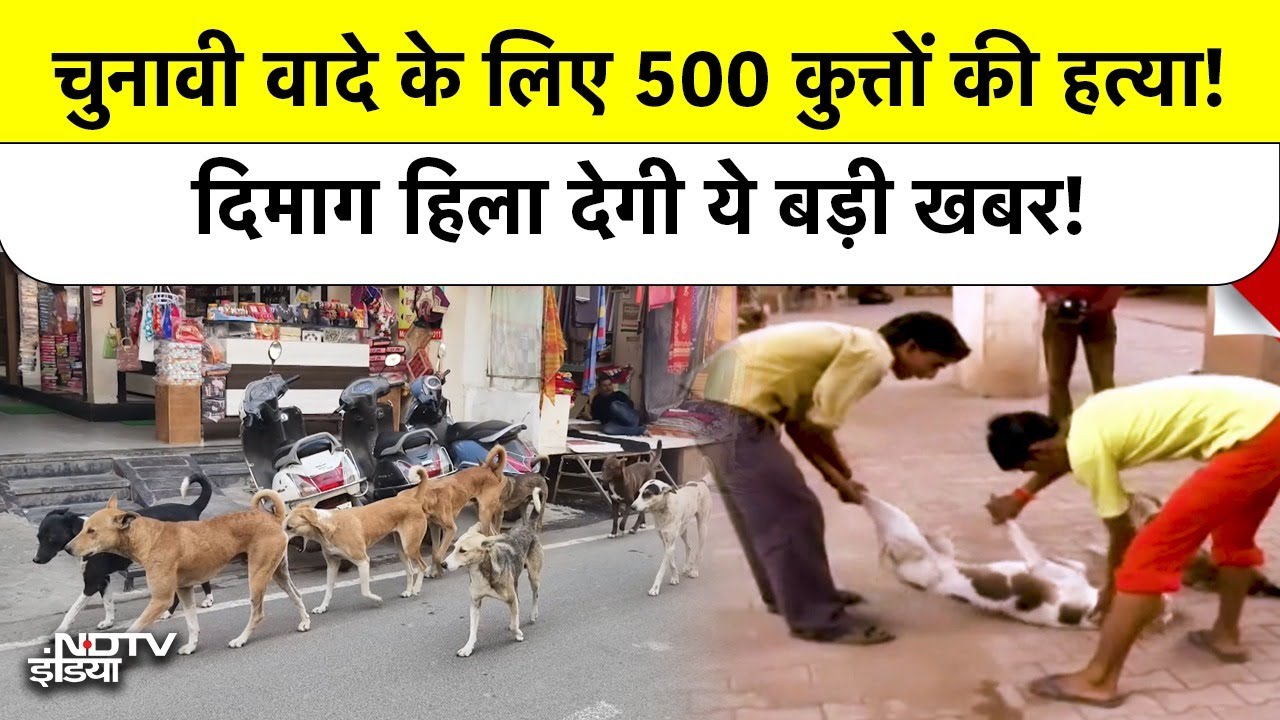 चुनावी वादे के लिए 500 कुत्तों की हत्या? दिमाग हिला देगी ये बड़ी खबर! Telangana Stray Dogs Poison