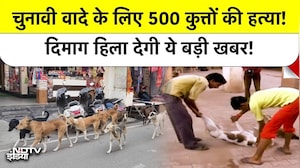 चुनावी वादे के लिए 500 कुत्तों की हत्या? दिमाग हिला देगी ये बड़ी खबर! Telangana Stray Dogs Poison