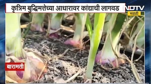 One Kg One Onion । बारामतीमधील कृषी प्रदर्शनात तब्बल एक किलोचा कांदा, कांदे पाहायला गर्दी | Baramati