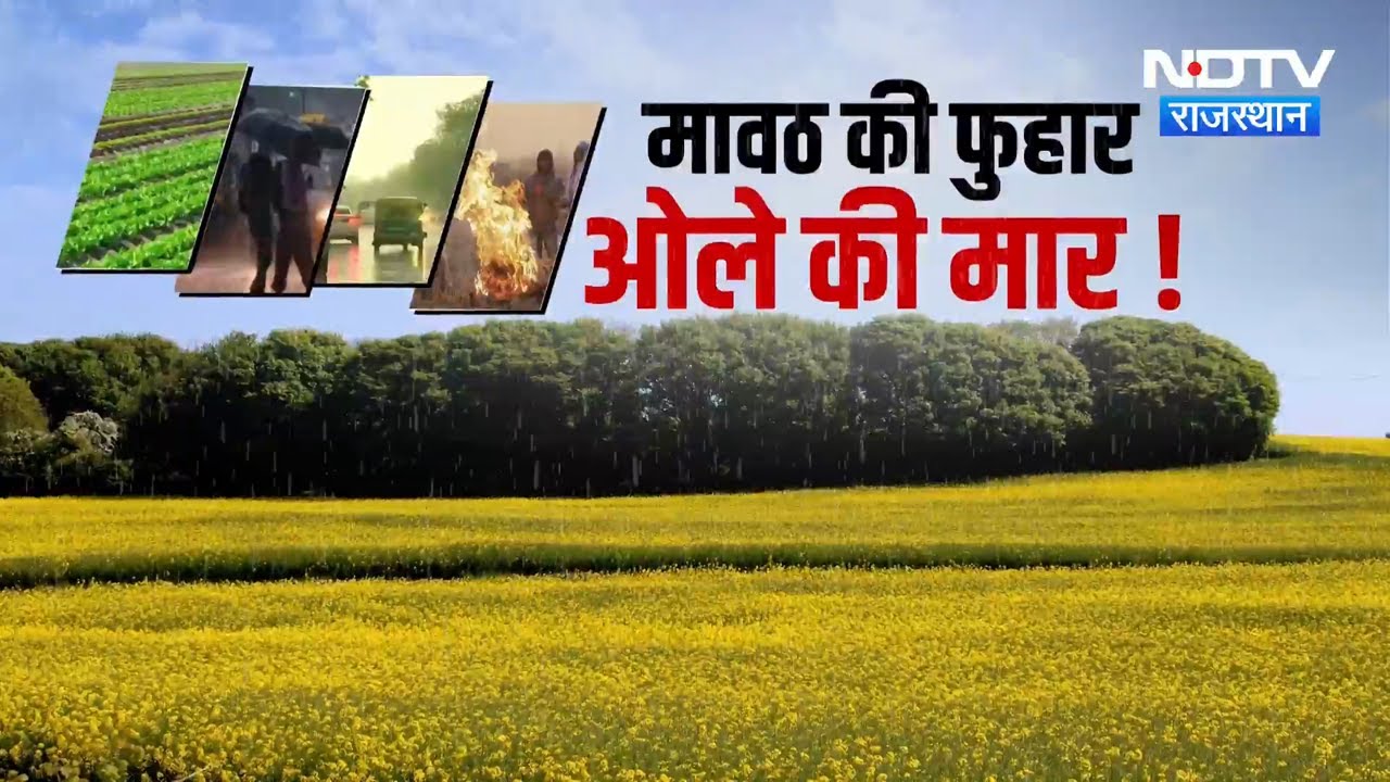 Mawath: Farmers के लिए अमृत या ओलों की आफत? जानें फसलों को बचाने के उपाय | Agriculture Special