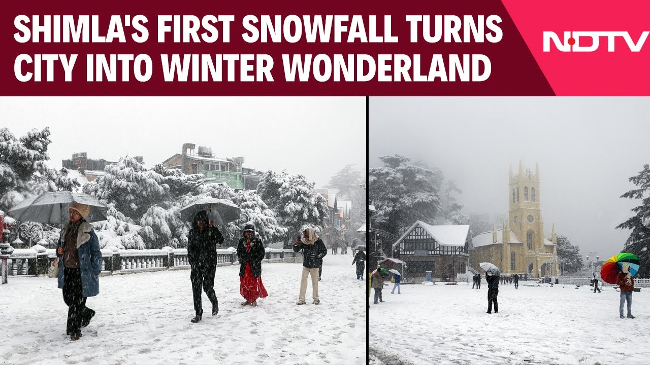 Shimla Turns Into Winter Wonderland With Season's First Snowfall; Daily Life Disrupted