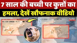 Dog Attack: Mandsaur में 7 साल की बच्ची पर कुत्तों का हमला, देखें खौफनाक वीडियो