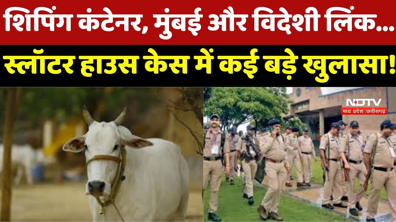 Bhopal Beef Smuggling: भोपाल गौ मांस कांड में बड़ा खुलासा, देश-विदेश तक फैला है Aslam का Nexus