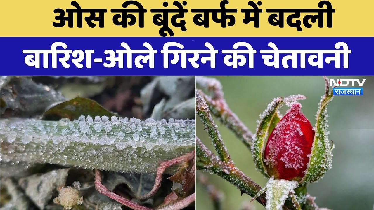 Rajasthan Weather: Rain और Hailstorm के बाद पूरे राज्य में तापमान काफी गिर गया है |Sirohi|Jhunjhunu