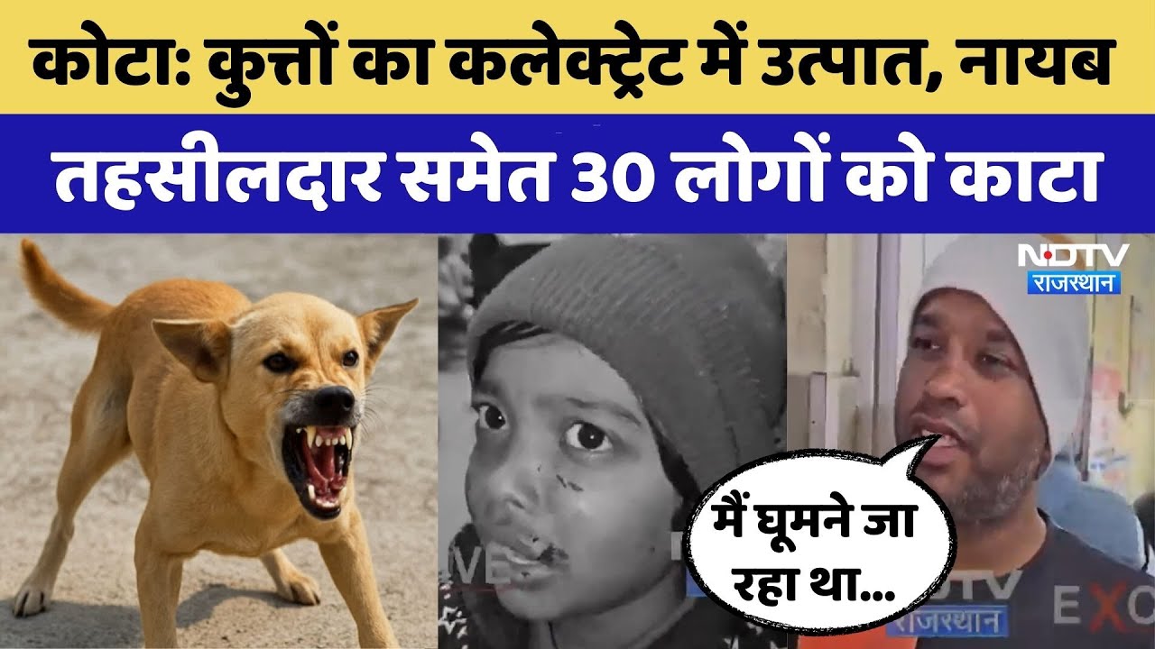 Kota Dog Bite Case: कुत्तों ने Collectorate में मचाया उत्पात; Naib Tehsildar समेत 30 लोगों को काटा