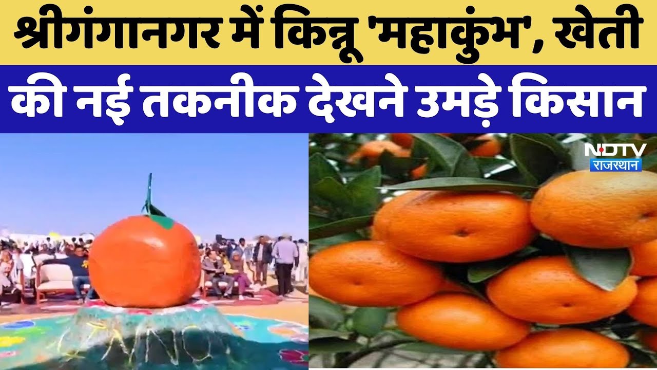 Sri Ganganagar News: किन्नू से ऐसे बदली किसान की तक़दीर, देखिए ये Ground Report | NDTV Rajasthan News