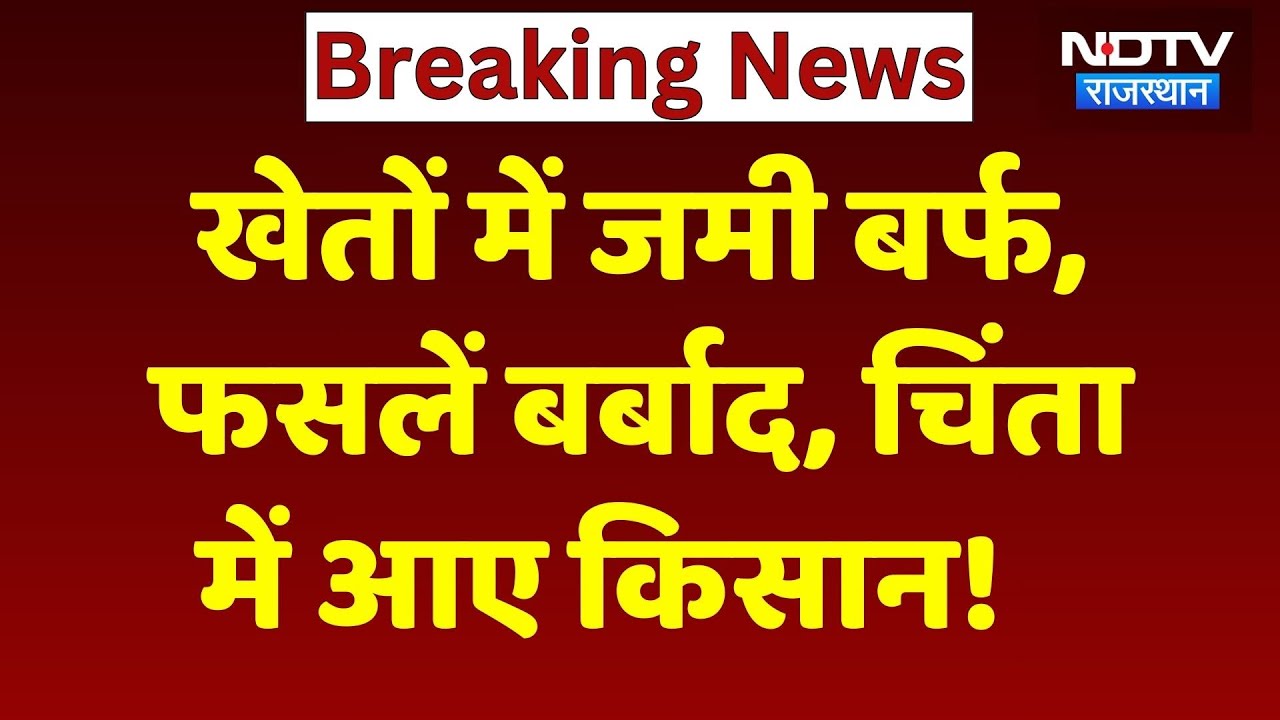 Weather Alert in Rajasthan: खेतों में जमी बर्फ, फसलें बर्बाद, चिंता में आए किसान! Rain | Breaking