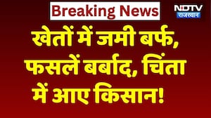Weather Alert in Rajasthan: खेतों में जमी बर्फ, फसलें बर्बाद, चिंता में आए किसान! Rain | Breaking