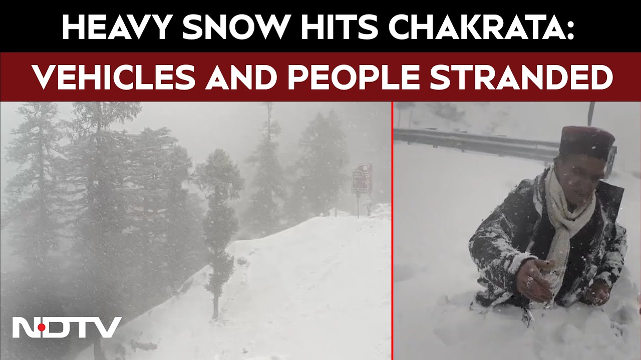 Heavy Snow Hits Chakrata: Vehicles Stranded, Police Rescue People Trapped in Waist-Deep Snow