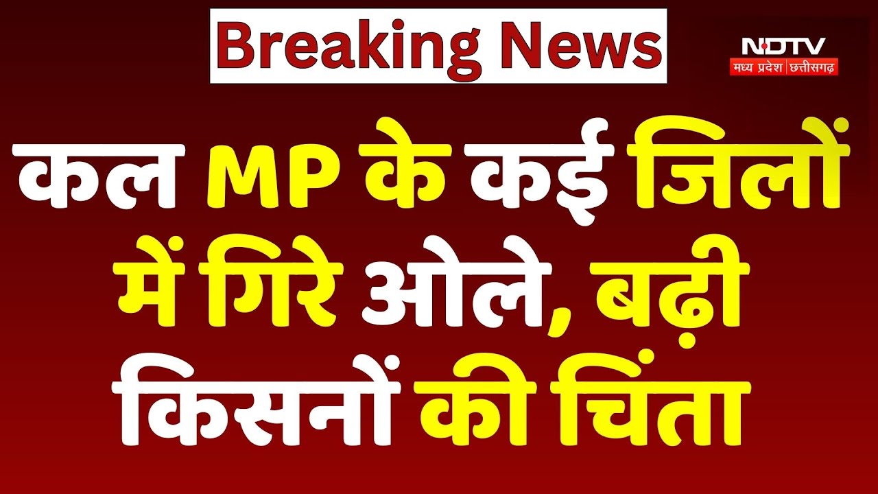 Hailstorm In MP: कल MP के कई जिलों में गिरे ओले, बढ़ी किसनों की चिंता | Weather Update | Cold Wave