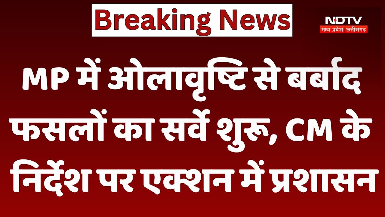 MP में ओलावृष्टि से बर्बाद Crops का सर्वे शुरू, CM Mohan Yadav के निर्देश पर Aaction में प्रशासन