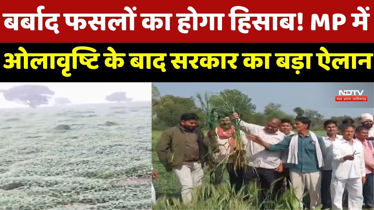 MP Weather: 24 घंटे के अंदर मांगी Hailstorm की Report, Farmers को मिलेगी बड़ी राहत