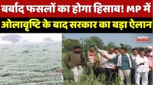MP Weather: 24 घंटे के अंदर मांगी Hailstorm की Report, Farmers को मिलेगी बड़ी राहत