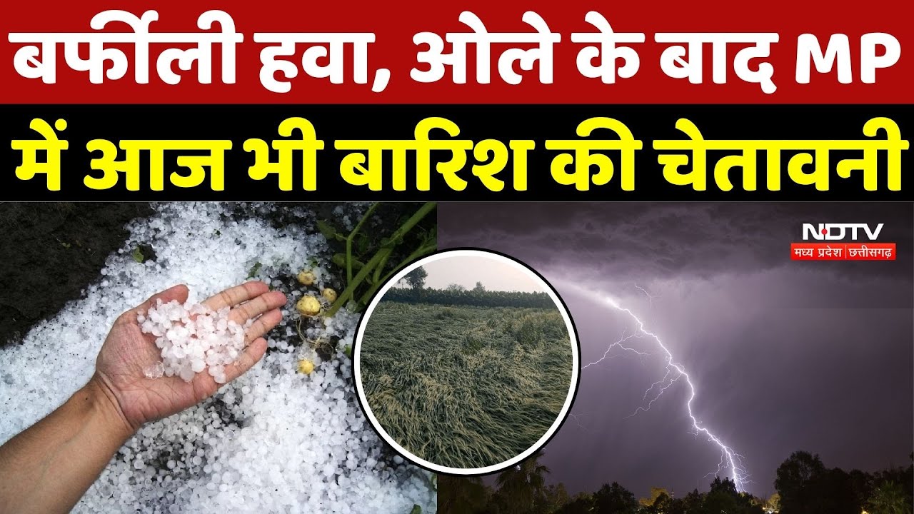 MP Weather: बर्फीली हवा, ओले के बाद MP में आज भी बारिश की चेतावनी | Farmer | Cold wave | Top News