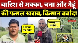 MP Weather: बारिश से मक्का, चना और गेहूं की फसल खराब, किसान बर्बाद | Farmer | Cold wave | Top News