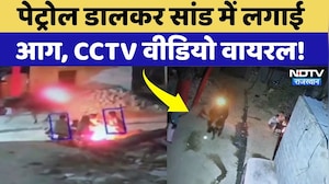 Ajmer News: Petrol डालकर सांड में लगाई आग, भड़के लोग! CCTV Video Viral | NDTV Rajasthan News