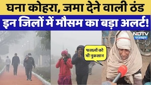 Weather Alert in Rajasthan: घना कोहरा, जनजीवन अस्त-व्यस्त, पड़ने वाली है कड़ाके की ठंड? Rain Alert