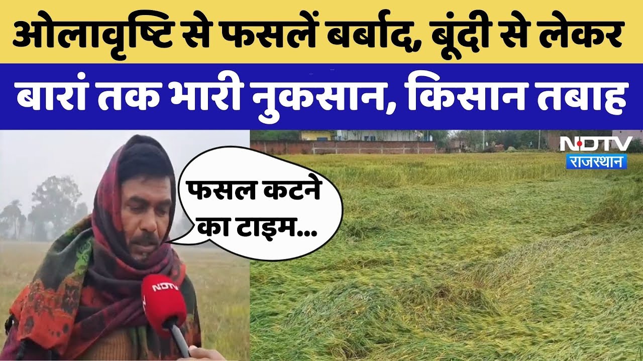 Rajasthan में Hailstorm से Crops बर्बाद | Top News | Bundi | Jhunjhunu | Baran | Mustard | coriander