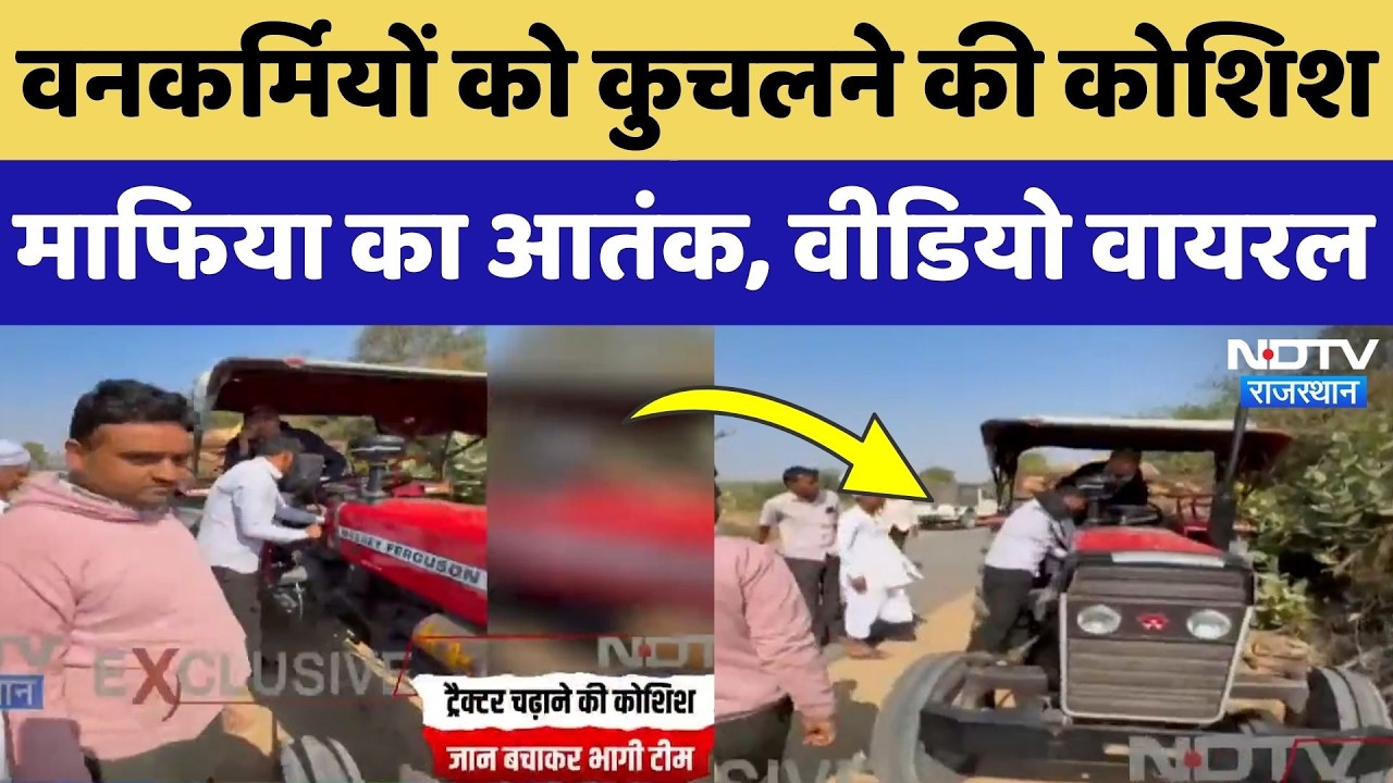 Jalore News: वनकर्मियों पर Tractor चढ़ाने की कोशिश, माफियाओं के आतंक का Video Viral! NDTV Rajasthan