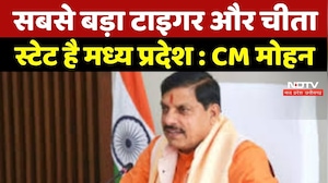 Bhopal News : सबसे बड़ा Tiger और Cheetah State है Madhya Pradesh: CM Mohan
