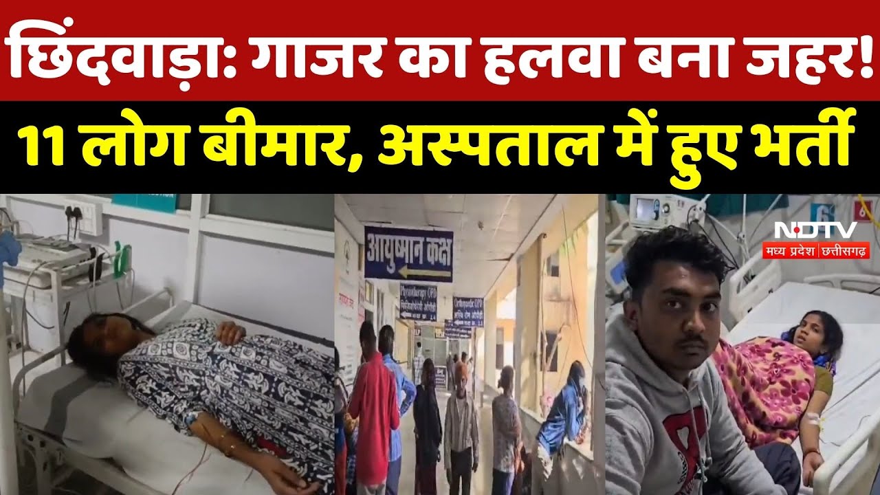 Chhindwara में गाजर का हलवा बना जहर! 11 लोग बीमार, Bikaner Sweets से खरीदा था हलवा