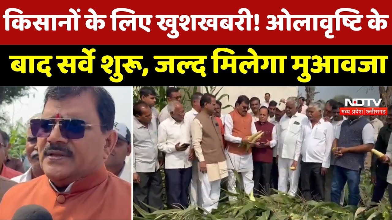 Burhanpur Farmers के लिए खुशखबरी! Hailstorm के बाद Survey शुरू, जल्द मिलेगा मुआवजा