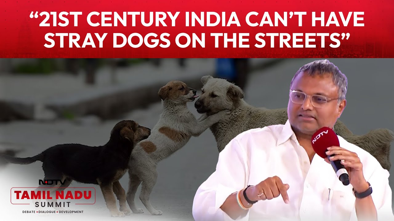 "21st Century India Can't Have Stray Dogs On The Street": Karti Chidambaram On Stray Dog Menace