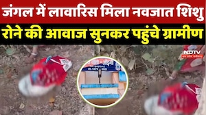 Surajpur News : जंगल में लावारिस मिला नवजात शिशु, रोने की आवाज सुनकर पहुंचे ग्रामीण