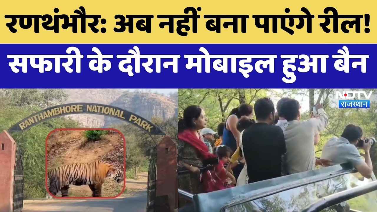 Ranthambore:अब नहीं बना पाएंगे रील! सफारी के दौरान मोबाइल हुआ बैन | Mobile Ban | Top News