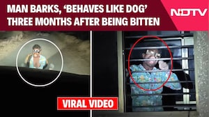 Suspected Rabies Case In Gujarat: Man Hospitalised After Disturbing Behaviour